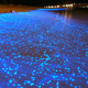 Illustration for article titled Worlds most beautiful beach glows like millions of stars at night